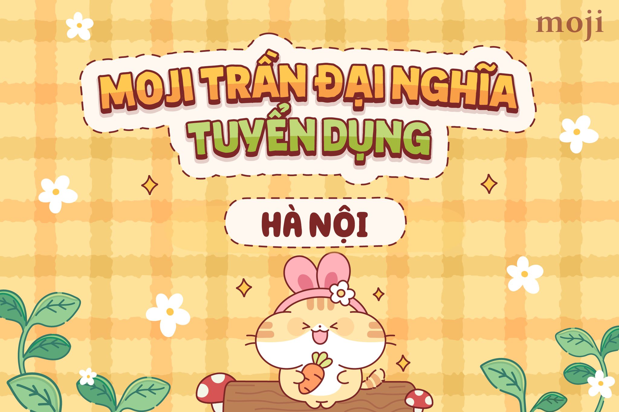 lĩnh vực hoạt động